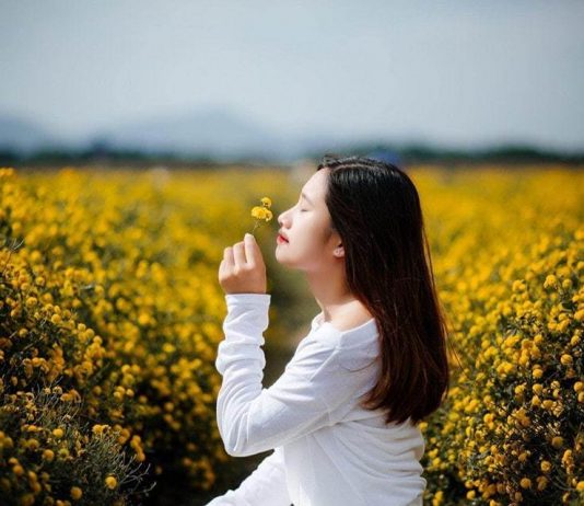 Tốt nghiệp loại giỏi, cô gái trẻ thực hiện chuyến đi 12 tỉnh miền Bắc