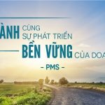 pms-truong-dao-tao-tu-van-doanh-nghiep