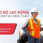 bao-ho-long-chau