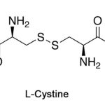 Cystine-1