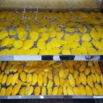 Công nghệ sấy dẻo trái cây