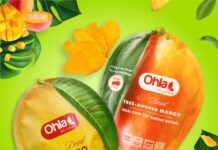 Khám phá thế giới hương vị với sản phẩm trái cây sấy dẻo