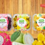 trai-cay-say-deo-7-1024×768