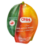 dried-mango (2)