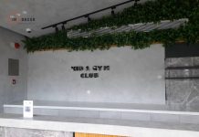 Sơn Hiệu Ứng Bê Tông Của Gindecor – Từ Vật Liệu Xây Dựng Đến Nghệ Thuật Trang Trí