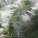 lap-dat-he-thong-phun-suong (1)(1)
