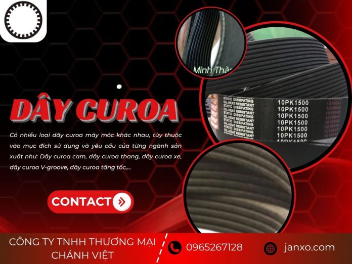 Dây curoa
