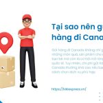 gui-hang-di-canada-gia-re-3-1-1536×864