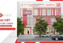 Bảng giá cáp điện CADIVI mới nhất của Đại Việt