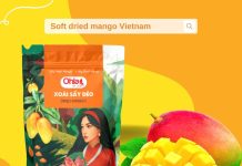 Thưởng thức xoài sấy dẻo Lương Gia – Trải nghiệm vị ngọt tự nhiên khó quên