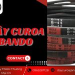 day-curoa-bando-2-1536×1152 (1)