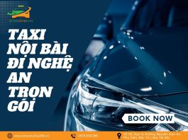 Taxi Nội Bài Nghệ An kết nối hành khách đến mọi điểm đến