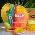 Xoài sấy dẻo không đường